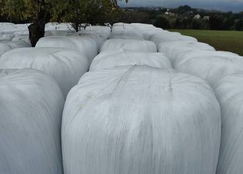 Sianokiszonka w belach