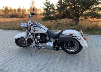 Fat Boy - biała perła