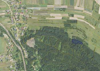 Działka leśno-rekreacyjna 3 194 m² — Cergowa (gm. Dukla) | blisko szlaków