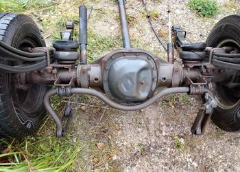 Most dyfer os mascott