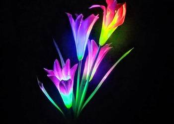 NOWA Lampka solarna LED kwiatki Lili
