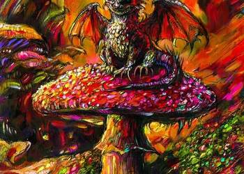 Muchomor i Smok akryl na papierze