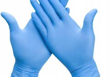 Rękawice Nitrylowe Lab. Nitrile Glove L 10szt.