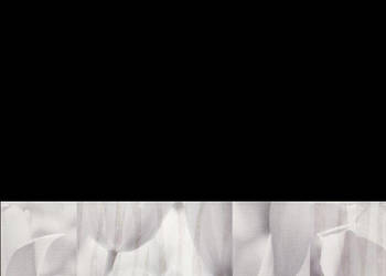 Dekor Tulip grey Inserto 25 x 75, seria Marcello, Ceramika Końskie, płytki