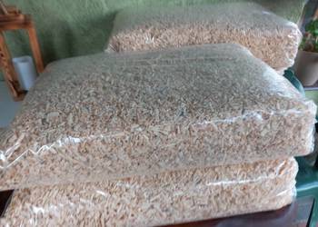 trociny dla chomika królika