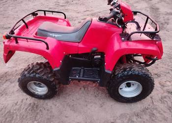 Quad Zipp 100cc  automat + wsteczny