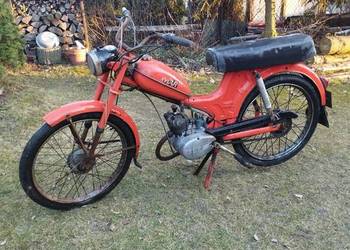 Romet Komar z dokumentami