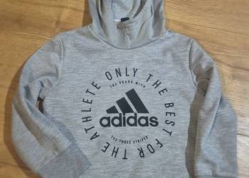 Bluza adidas 116