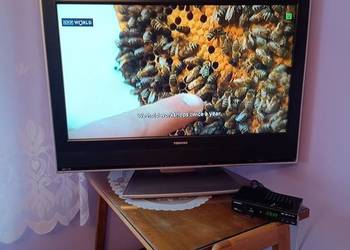telewizor Toshiba LCD 32 cale