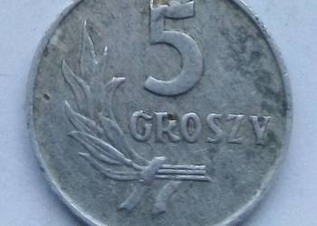 POLSKA-5 GROSZY-1959 r r-bzm-AL-RZADKA