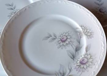 Zestaw porcelanowych talerzy obiadowych 7 Szt. Paul Muller Selb