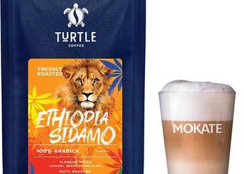 Turtle - Ethiopia Sidamo - 100% Arabica - 1kg x 2
