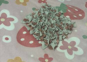 Mata węchowa prezent który merda ogonem pies kot królik