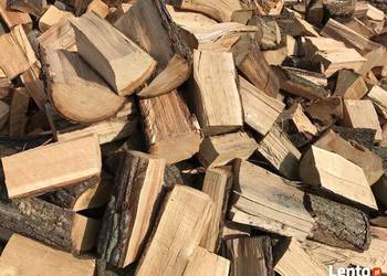 drewno kominkowe TWARDE