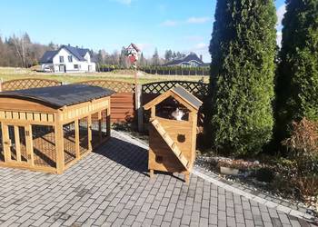 Buda dla dwóch kotów z wiatrołapem.