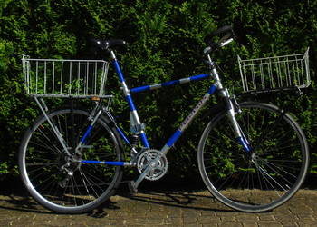 Rower  PEGASUS