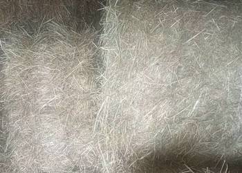 Siano w kostce i balotach i sloma