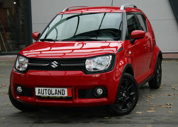Suzuki Ignis Bezwypadkowy-Naped automatyczny 4x4-GWARANCJA !!! III(2008-)