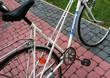 Rower holenderski