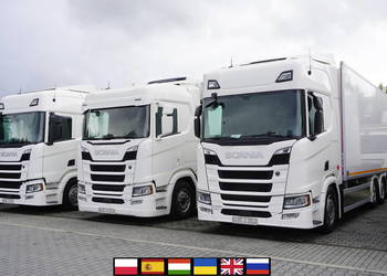 Scania R500 / Zabudowa chłodnicza / 3. oś skrętna / kilka sztuk_237881