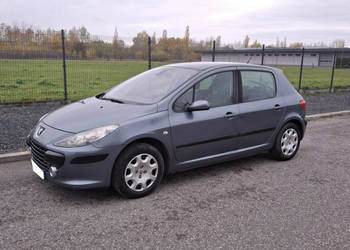 Peugeot 307 Peugeot 307 1.4 LPG GAZ Klima Tempomat 2005r Doinwestowany Oka…