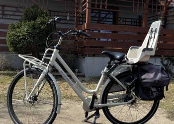 Rower holenderski Batavus Shimano Nexus