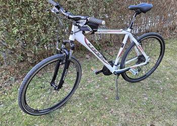 Rower Kands Maestro 21" Cross aluminium Shimano koła 28"