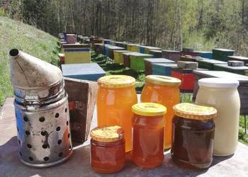 Produkty Pszczele