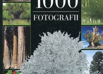 Drzewa 1000 fotografii