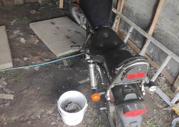 Motor 50