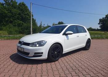 Volkswagen Golf 7 1.6 Tdi 110 KM 6 biegów