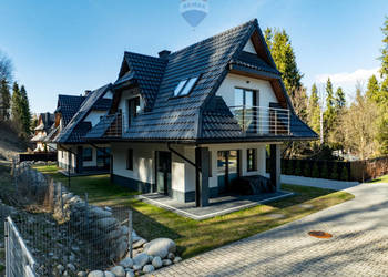 Biznes w górach | 3 domy | Bukowina