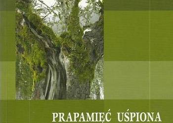 PRAPAMIĘĆ UŚPIONA ŚWIAT WYOBRAŻEŃ BOLESŁAWA LEŚMIANA