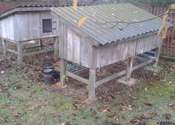 Klatki dla królików