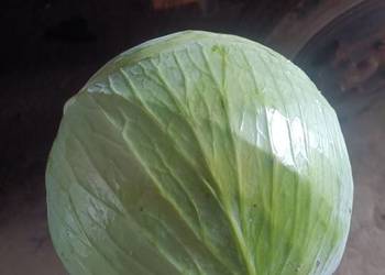 Sprzedam kapustę białą