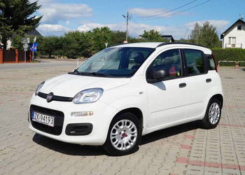 FIAT PANDA - Benzyna - Salon Polska