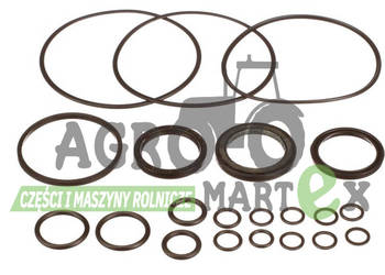 9807617, 9701763, 9620574, 89807617 ZESTAW USZCZNIEŃ CNH 9807617, 9701763, 9620574, 89807617 ZESTAW USZCZNIEŃ CNH
