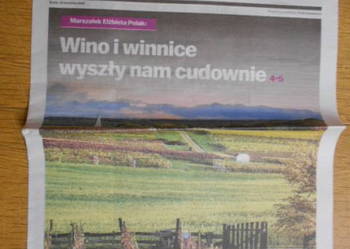 Lubuskie winobranie - Gazeta Wyborcza