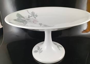 Patera na nodze Rosenthal