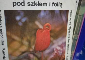 Kwiaty cięte podręczniki szkolne księgarnia Warszawa Praga Kwiaty cięte podręczniki szkolne księgarnia Warszawa Praga