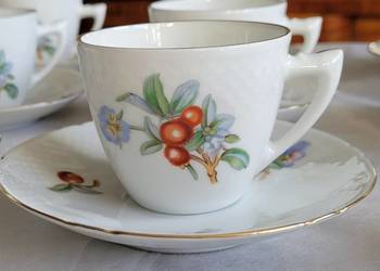 Bing & Grondahl Kopenhaga  filiżanka dekor Żurawina Dziki Br