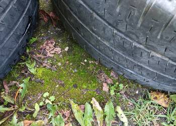 205/65 r16c 107/105t agilis
