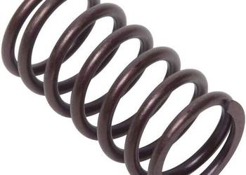 Sprężyna zaworu 692084