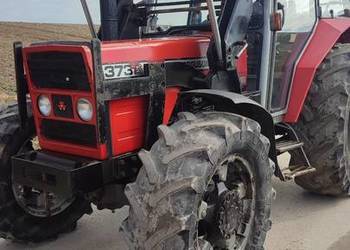 Massey Ferguson 373 oryginał