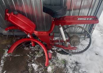 Romet Kadet Rama Błotniki.