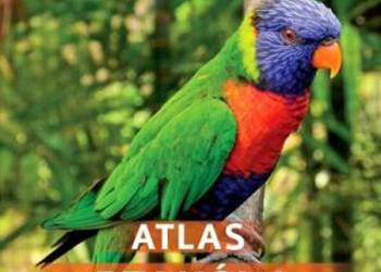 Atlas ptaków ozdobnych