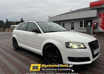 Audi A3 Sportback Telefon: 733_916_297 Lokalizacja: Leszno 8P (2003-2012)
