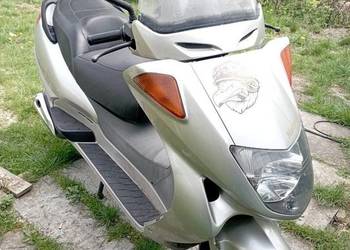 Skuter Honda MF 05 rocznik 2000 super stan Skuter Honda MF 05 rocznik 2000 super stan