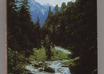 Na skalnej drodze - Passendorfer