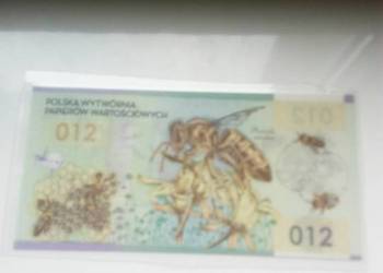 Polska banknot testowy Pszczola Miodna 2012